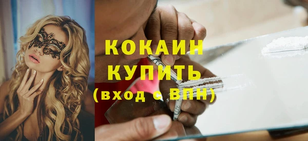 стафф Алзамай