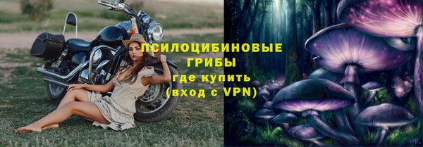 стафф Алзамай
