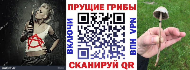 Псилоцибиновые грибы прущие грибы  omg как войти  Ковылкино  цена наркотик 